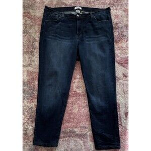 Judy Blue Women's 1X Skinny Stretch Denim Jeans Dark Blue 5-Pocket Button Plus